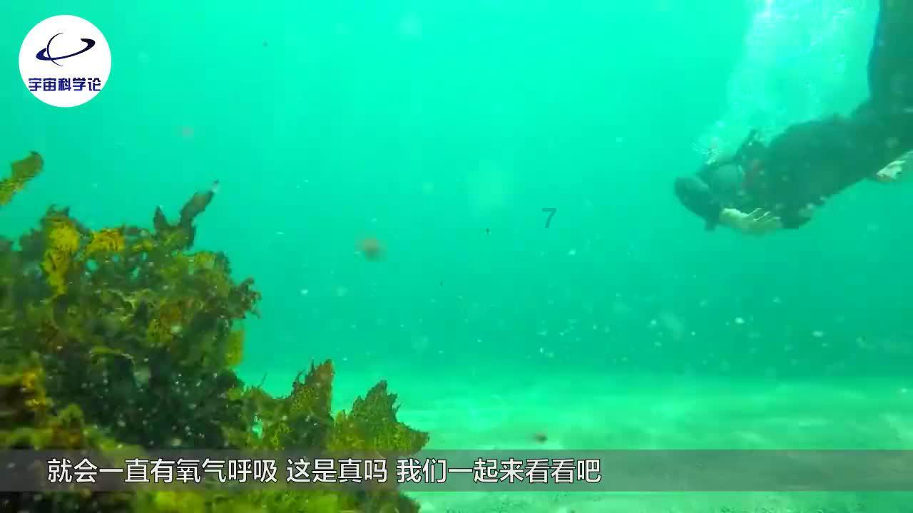 表情大乱斗